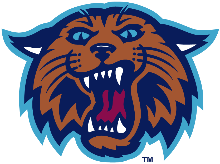 Villanova Wildcats 1996-2003 Alternate Logo v2 DIY iron on transfer (heat transfer)